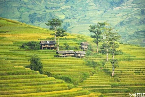 夫妻感情破裂能挽回嗎 如何處理好夫妻感情 夫妻感情破裂能挽回嗎 如何處理好夫妻感情