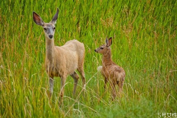 離婚了怎么挽救婚姻 離婚后想挽回怎么溝通 離婚了怎么挽救婚姻 離婚后想挽回怎么溝通