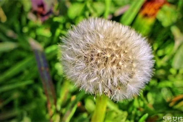 離婚了怎么挽救婚姻 離婚后想挽回怎么溝通 離婚了怎么挽救婚姻 離婚后想挽回怎么溝通