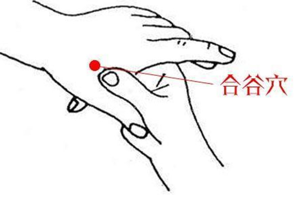 合谷穴在哪里 合谷穴怎么找 合谷穴在哪里 合谷穴怎么找