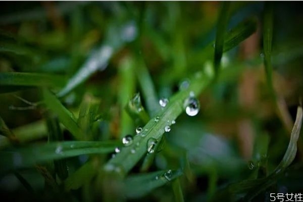 離婚后怎樣相處好 離婚夫妻最好的相處方式 離婚后怎樣相處好 離婚夫妻最好的相處方式