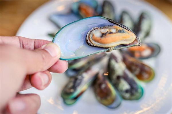 孕婦可以吃青口貝嗎 青口貝不能和什么一起吃 孕婦可以吃青口貝嗎 青口貝不能和什么一起吃