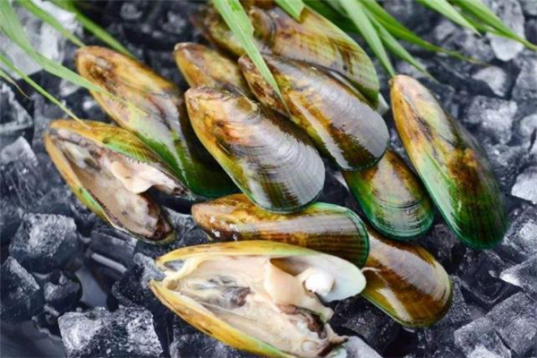 青口貝的熱量 青口貝吃多了會(huì)胖嗎 青口貝的熱量 青口貝吃多了會(huì)胖嗎