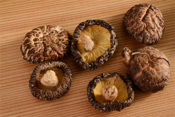 冬菇是什么 冬菇是發(fā)物嗎 冬菇是什么 冬菇是發(fā)物嗎