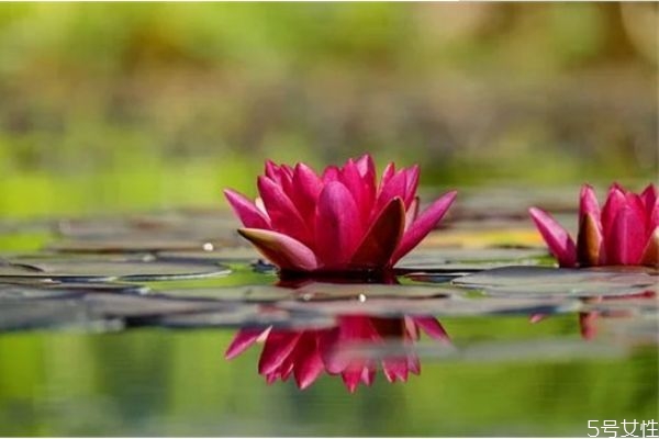 網上認識的相親男怎么發(fā)展 網上相親的男人聊天不主動