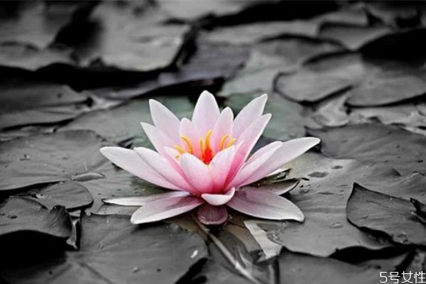 網上認識的相親男怎么發(fā)展 網上相親的男人聊天不主動