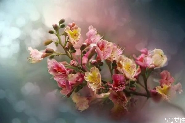 為什么結婚后一定要脫離原生家庭 結婚后與原生家庭關系 為什么結婚后一定要脫離原生家庭 結婚后與原生家庭關系