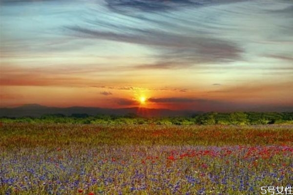 連架都懶得吵的婚姻怎么挽回 無(wú)話可說(shuō)的婚姻怎么辦 連架都懶得吵的婚姻怎么挽回 無(wú)話可說(shuō)的婚姻怎么辦