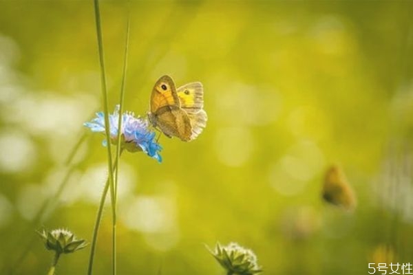 軍婚兩地分居的婚姻能維持多久 兩地分居老公出軌怎么辦 軍婚兩地分居的婚姻能維持多久 兩地分居老公出軌怎么辦