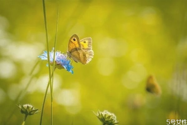 連架都懶得吵的婚姻怎么挽回 無(wú)話可說(shuō)的婚姻怎么辦 連架都懶得吵的婚姻怎么挽回 無(wú)話可說(shuō)的婚姻怎么辦