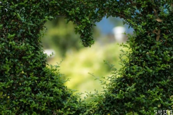 想你了怎么幽默回復(fù) 幽默回答別人想你了 想你了怎么幽默回復(fù) 幽默回答別人想你了