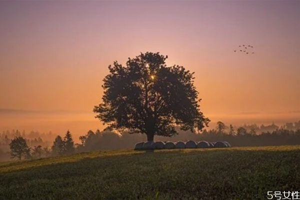 男人喜歡情商低的女人嗎 情商低的女生是怎樣的 男人喜歡情商低的女人嗎 情商低的女生是怎樣的