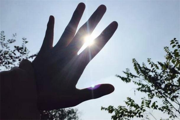 秋老虎熱還是三伏天熱 秋老虎和三伏天的區(qū)別 秋老虎熱還是三伏天熱 秋老虎和三伏天的區(qū)別