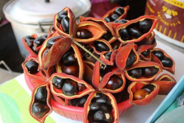 鳳眼果怎么吃比較好 鳳眼果的吃法有什么 鳳眼果怎么吃比較好 鳳眼果的吃法有什么