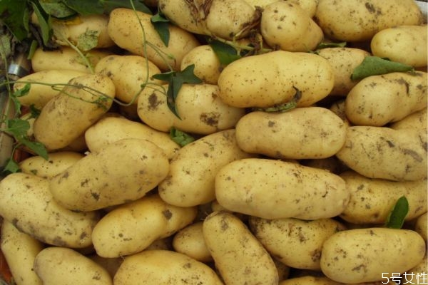 土豆變綠能不能吃 土豆發(fā)青去掉皮能吃嗎 土豆變綠能不能吃 土豆發(fā)青去掉皮能吃嗎