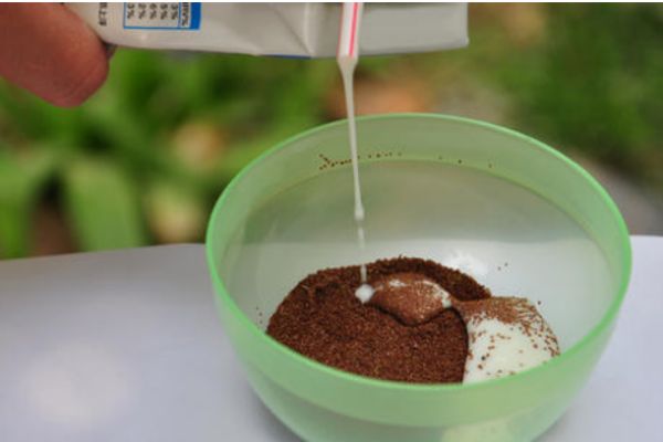 海藻加純牛奶什么功效 海藻加純牛奶的作用 海藻加純牛奶什么功效 海藻加純牛奶的作用