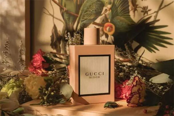 gucci花悅香水真假辨別 gucci花悅香水適合年齡 gucci花悅香水真假辨別 gucci花悅香水適合年齡