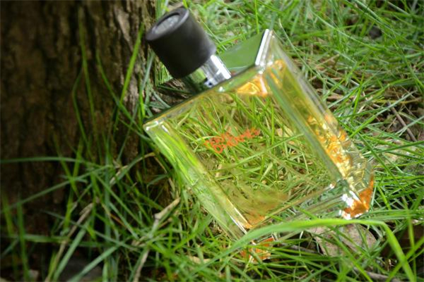 愛馬仕大地是什么味道 愛馬仕大地三個(gè)版本區(qū)別 愛馬仕大地是什么味道 愛馬仕大地三個(gè)版本區(qū)別