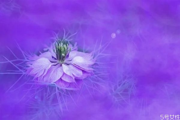 男朋友不愛你的細(xì)節(jié)表現(xiàn) 這些信號(hào)告訴你男友不愛你 男朋友不愛你的細(xì)節(jié)表現(xiàn) 這些信號(hào)告訴你男友不愛你