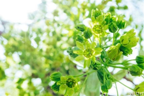 異地戀怎么聊天升溫快 異地戀感情升溫辦法 異地戀怎么聊天升溫快 異地戀感情升溫辦法