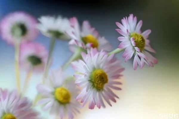 價值觀不同的夫妻如何相處 夫妻三觀不合如何挽回 價值觀不同的夫妻如何相處 夫妻三觀不合如何挽回