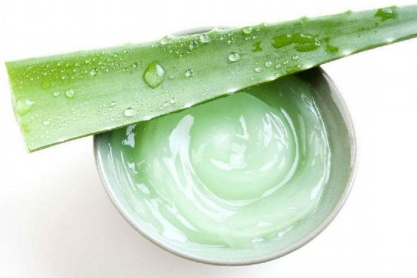 蘆薈膠可以當(dāng)水乳用嗎 蘆薈膠和水乳的順序 蘆薈膠可以當(dāng)水乳用嗎 蘆薈膠和水乳的順序