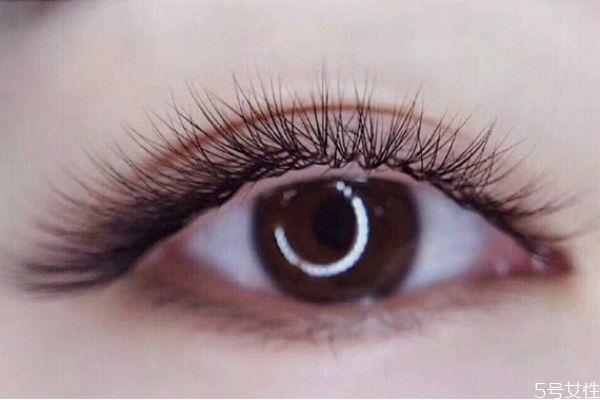 嫁接睫毛是越濃密越好嗎 嫁接美睫會(huì)痛嗎 嫁接睫毛是越濃密越好嗎 嫁接美睫會(huì)痛嗎