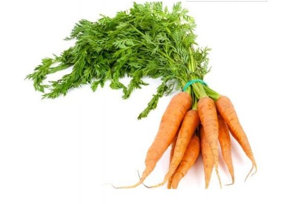 水果胡蘿卜和普通胡蘿卜的區(qū)別在哪 利弊有哪些 水果胡蘿卜和普通胡蘿卜的區(qū)別在哪 利弊有哪些