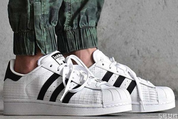 貝殼頭可以直接水洗嗎 貝殼頭怎么洗最好 貝殼頭可以直接水洗嗎 貝殼頭怎么洗最好