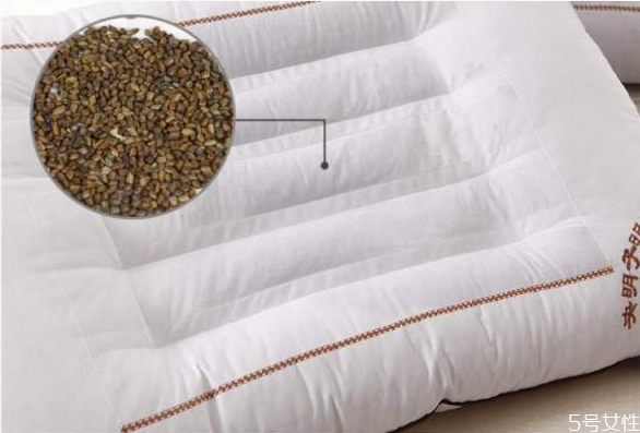 決明子枕頭哪面朝上 決明子枕頭兩面有什么區(qū)別 決明子枕頭哪面朝上 決明子枕頭兩面有什么區(qū)別