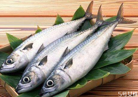 膽固醇高可以吃馬鮫魚嗎 馬鮫魚的食用禁忌 膽固醇高可以吃馬鮫魚嗎 馬鮫魚的食用禁忌