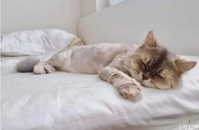 夢(mèng)游會(huì)睜開眼睛嗎 人在夢(mèng)游時(shí)能不能叫醒