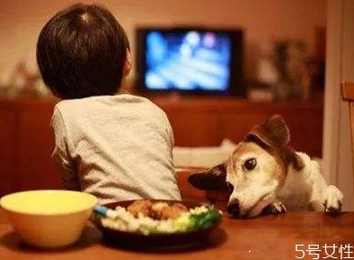 兩歲寶寶可以看電視嗎 兩歲寶寶看電視要注意什么 兩歲寶寶可以看電視嗎 兩歲寶寶看電視要注意什么