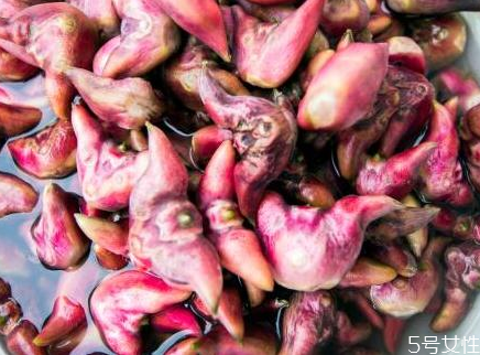 菱角老的好吃還是嫩的好吃 菱角煮熟為什么是苦的 菱角老的好吃還是嫩的好吃 菱角煮熟為什么是苦的