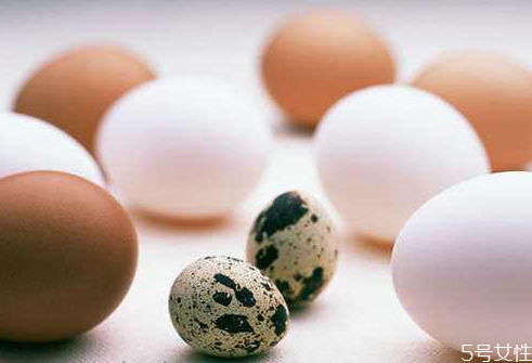 小孩早上吃鵪鶉蛋好嗎 寶寶吃鵪鶉蛋好還是雞蛋好 小孩早上吃鵪鶉蛋好嗎 寶寶吃鵪鶉蛋好還是雞蛋好