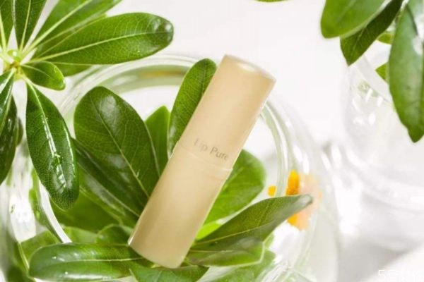 潤唇膏可以代替唇膜嗎 潤唇膏可以用什么代替 潤唇膏可以代替唇膜嗎 潤唇膏可以用什么代替