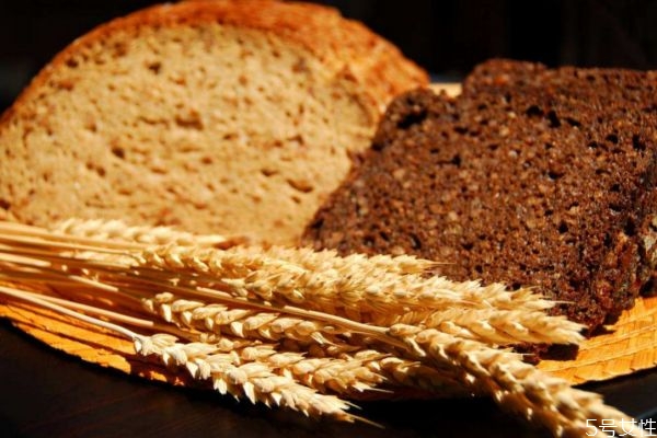 吃全麥面包會(huì)長胖嗎 全麥面包纖維高還是黑麥面包 吃全麥面包會(huì)長胖嗎 全麥面包纖維高還是黑麥面包