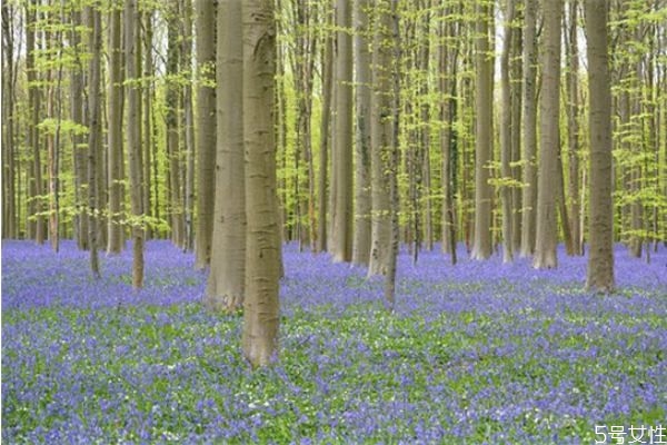 異地男朋友出軌了要分手 異地男朋友出軌了我該怎么辦 異地男朋友出軌了要分手 異地男朋友出軌了我該怎么辦