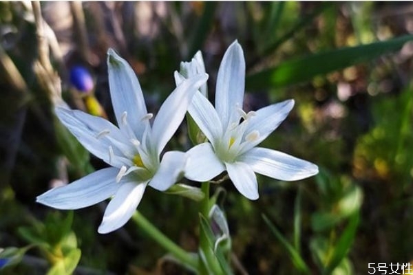 妻子出軌怎么讓丈夫徹底原諒 妻子出軌后應(yīng)該怎么做 妻子出軌怎么讓丈夫徹底原諒 妻子出軌后應(yīng)該怎么做