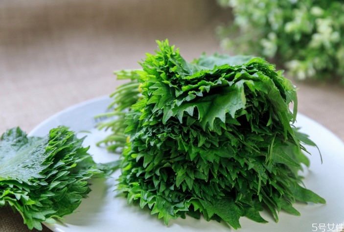 蘇子葉如何長期保存 蘇子葉的功效與作用 蘇子葉如何長期保存 蘇子葉的功效與作用