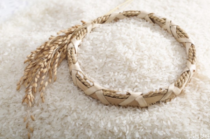 大米長(zhǎng)的蟲子是什么蟲 米長(zhǎng)蟲子怎么處理 大米長(zhǎng)的蟲子是什么蟲 米長(zhǎng)蟲子怎么處理
