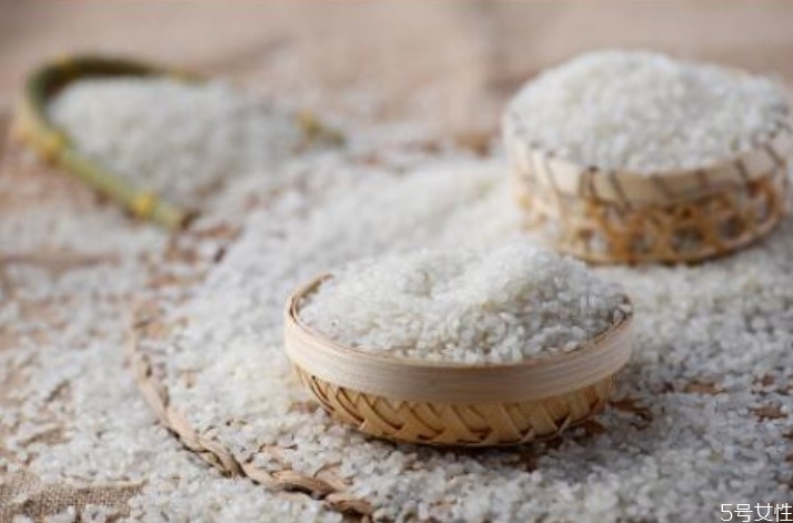 大米長(zhǎng)的蟲子是什么蟲 米長(zhǎng)蟲子怎么處理 大米長(zhǎng)的蟲子是什么蟲 米長(zhǎng)蟲子怎么處理