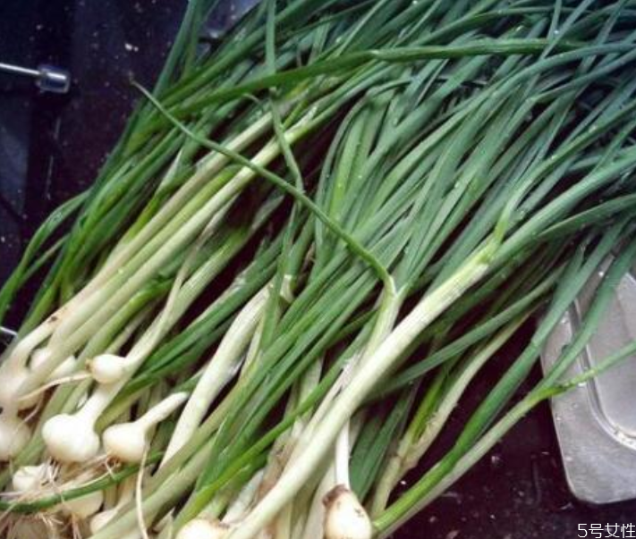 野蔥什么時候可以挖 野蔥怎么做好吃 野蔥什么時候可以挖 野蔥怎么做好吃