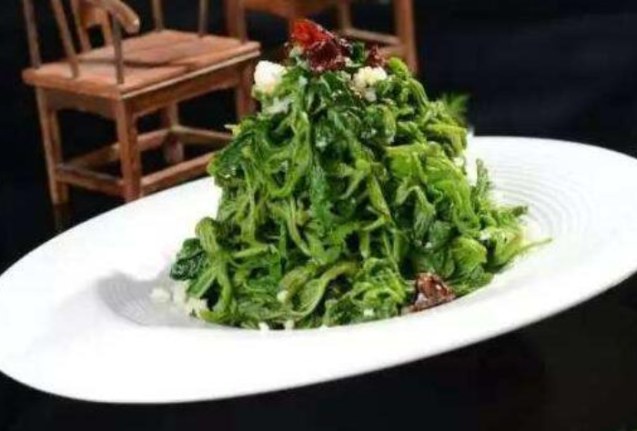 桑芽菜怎么做好吃 桑芽菜的功效和作用 桑芽菜怎么做好吃 桑芽菜的功效和作用