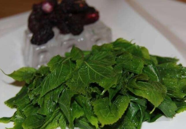 桑芽菜怎么做好吃 桑芽菜的功效和作用 桑芽菜怎么做好吃 桑芽菜的功效和作用