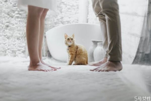 離婚后可以生二胎嗎 離婚后單身能生二胎嗎 離婚后可以生二胎嗎 離婚后單身能生二胎嗎