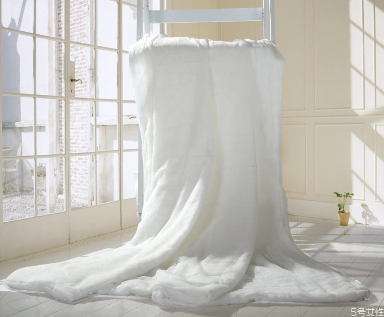 蠶絲被貓尿了怎么清洗 蠶絲被怎么去尿騷味 蠶絲被貓尿了怎么清洗 蠶絲被怎么去尿騷味