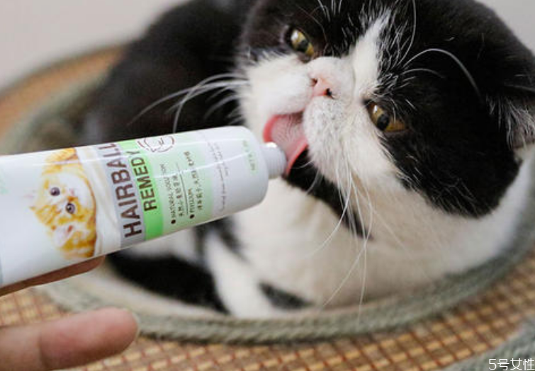 貓營養(yǎng)膏可以天天吃嗎 貓用營養(yǎng)膏哪個牌子好 貓營養(yǎng)膏可以天天吃嗎 貓用營養(yǎng)膏哪個牌子好