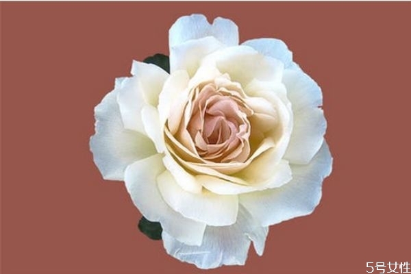 男生喜歡玩曖昧是因?yàn)槭裁?有女朋友還撩妹是渣男 男生喜歡玩曖昧是因?yàn)槭裁?有女朋友還撩妹是渣男