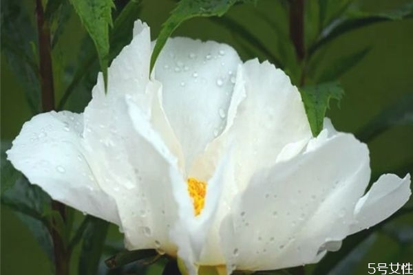 男生喜歡玩曖昧是因?yàn)槭裁?有女朋友還撩妹是渣男 男生喜歡玩曖昧是因?yàn)槭裁?有女朋友還撩妹是渣男